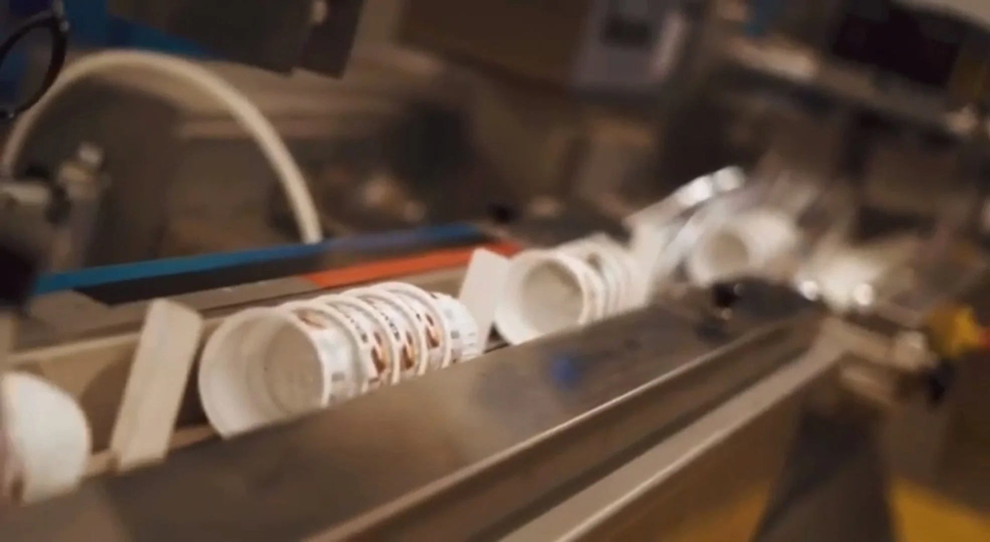 BATSAM™ Conveyor Line at the Factory for Instant Cups