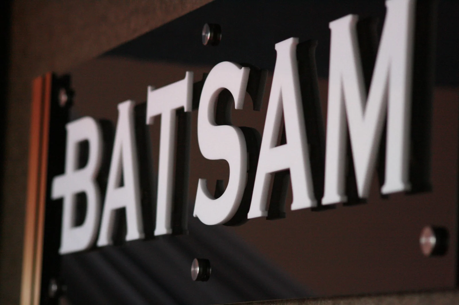 BATSAM™ Logo In 3D