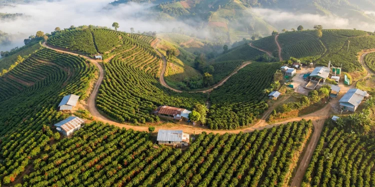 The Rise of Terroir Bars