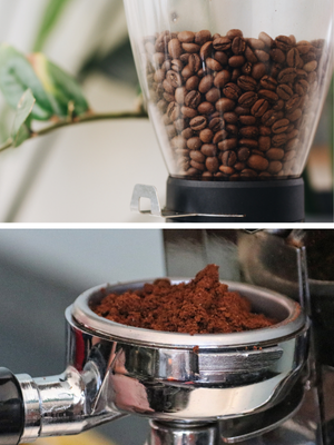 BATSAM™ LEGGERO COFFEE BEANS - Consumption Recommendations