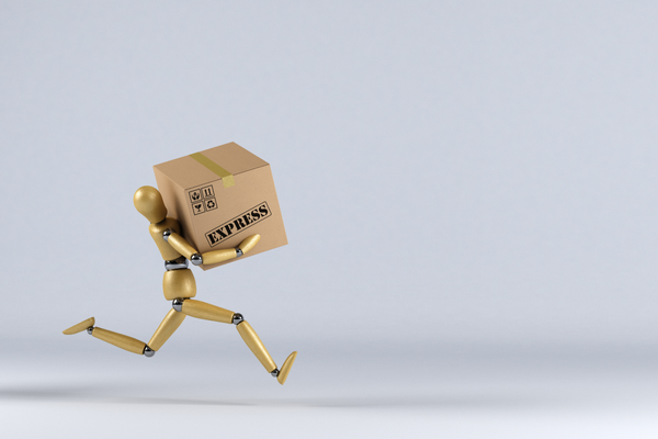 BATSAM™ - Delivery